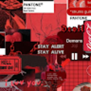 Meet your Posher, Jodie